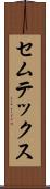 セムテックス Scroll