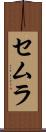 セムラ Scroll