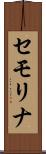 セモリナ Scroll