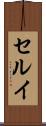 セルイ Scroll