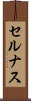セルナス Scroll