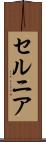 セルニア Scroll