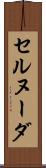 セルヌーダ Scroll