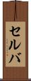 セルバ Scroll
