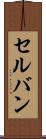セルバン Scroll