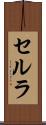 セルラ Scroll