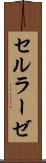 セルラーゼ Scroll