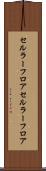 セルラーフロア Scroll