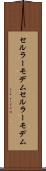 セルラーモデム Scroll