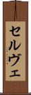 セルヴェ Scroll