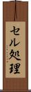 セル処理 Scroll