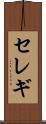 セレギ Scroll
