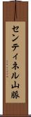 センティネル山脈 Scroll