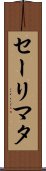 Salimata Scroll