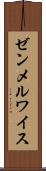 ゼンメルワイス Scroll