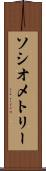 ソシオメトリー Scroll
