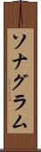 ソナグラム Scroll