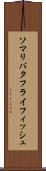 ソマリバタフライフィッシュ Scroll