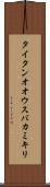 タイタンオオウスバカミキリ Scroll