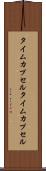 タイムカプセル Scroll
