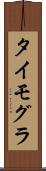 タイモグラ Scroll