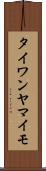 タイワンヤマイモ Scroll