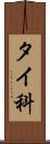 タイ科 Scroll