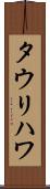 タウリハワ Scroll