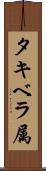 タキベラ属 Scroll