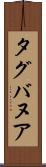 タグバヌア Scroll