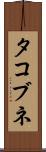 タコブネ Scroll