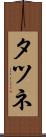 タツネ Scroll