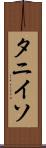 タニイソ Scroll