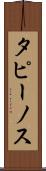 タピーノス Scroll