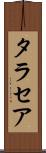 タラセア Scroll