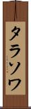 タラソワ Scroll