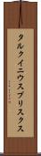 タルクイニウスプリスクス Scroll