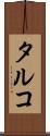 タルコ Scroll