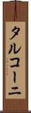タルコーニ Scroll