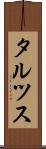 タルツス Scroll