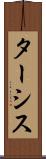 ターシス Scroll