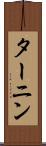 ターニン Scroll