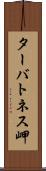 ターバトネス岬 Scroll