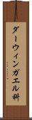 ダーウィンガエル科 Scroll