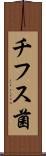 チフス菌 Scroll
