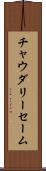 Choudary Saim Scroll
