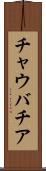 チャウバチア Scroll