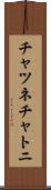 チャツネ Scroll