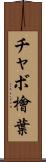 チャボ檜葉 Scroll