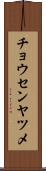 チョウセンヤツメ Scroll